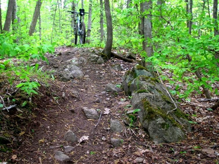 A gravel path winding through a lush green forest, with a mountain bike positioned on the trail near some rocks and trees. Michigan Tech Trails mountain bike trail.