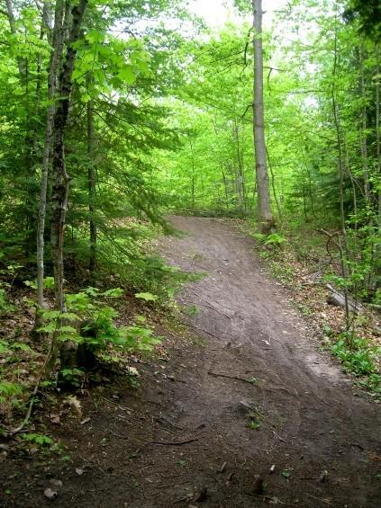 A winding dirt path through a lush, green forest, surrounded by tall trees and undergrowth. The scene is vibrant and peaceful, showcasing a bright, natural environment in the woods. Michigan Tech Trails mountain bike trail.