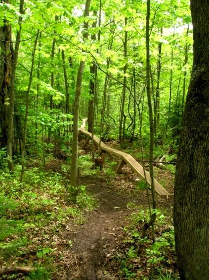 A narrow wooden boardwalk traverses a lush green forest path, surrounded by tall trees and dense foliage. The sunlight filters through the leaves, creating a vibrant, tranquil atmosphere. Michigan Tech Trails mountain bike trail.