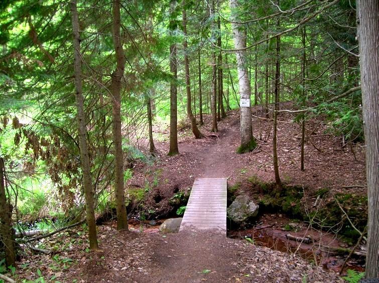 A narrow wooden bridge crosses a small stream, surrounded by tall trees and lush greenery in a forested area. A dirt path leads from the bridge into the woods, with scattered leaves on the ground and a sign posted on a tree nearby. Michigan Tech Trails mountain bike trail.