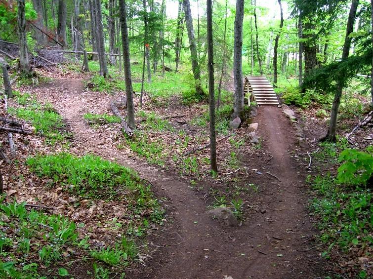 A lush, green forest with two diverging dirt paths. The left path is slightly less defined and leads into dense foliage, while the right path is more clear and features a small wooden bridge crossing over a rocky area. Sunlight filters through the trees, highlighting the fresh spring foliage and scattered leaves on the ground. Michigan Tech Trails mountain bike trail.
