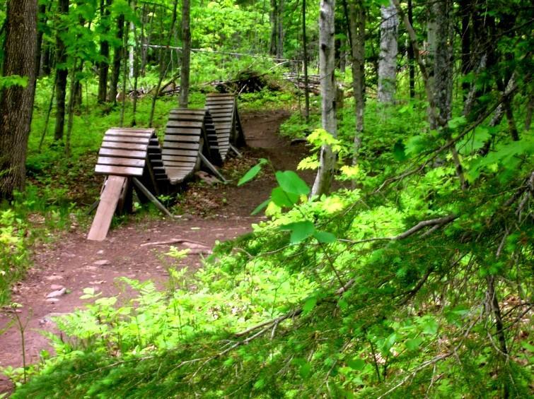 A wooden bike ramp featuring a series of curved sections, situated along a dirt path in a lush, green forest with trees and foliage surrounding the area. Michigan Tech Trails mountain bike trail.