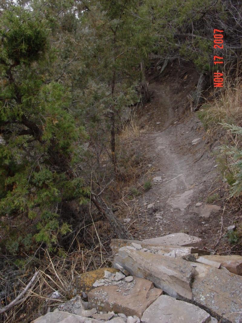 A narrow dirt trail winds through green shrubs and rocky terrain, bordered by trees. The path is visible in the background, leading into the woods, while the foreground features uneven stones. River's Edge mountain bike trail.