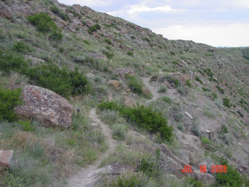 A winding dirt path through a grassy hillside dotted with rocks and shrubs under a partly cloudy sky. North Shore mountain bike trail.