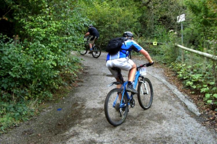 8 Yoga Poses for Mountain Bikers Singletracks Mountain Bike News