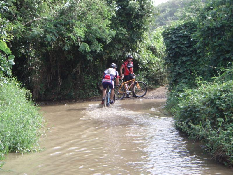 Two cyclists navigate a muddy path with water pooling around their bikes. One cyclist is riding through the water, while the other stands next to their bicycle on the bank, surrounded by lush greenery and foliage. The scene captures an adventurous moment in a natural setting. Corredor Ecologico mountain bike trail.