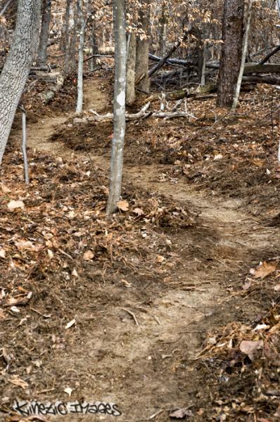 A winding dirt path through a forested area, lined with trees and scattered fallen leaves. The trail curves gently, leading deeper into the woods, with patches of exposed soil visible along the sides. The overall atmosphere is serene and natural. Wild Turkey mountain bike trail.
