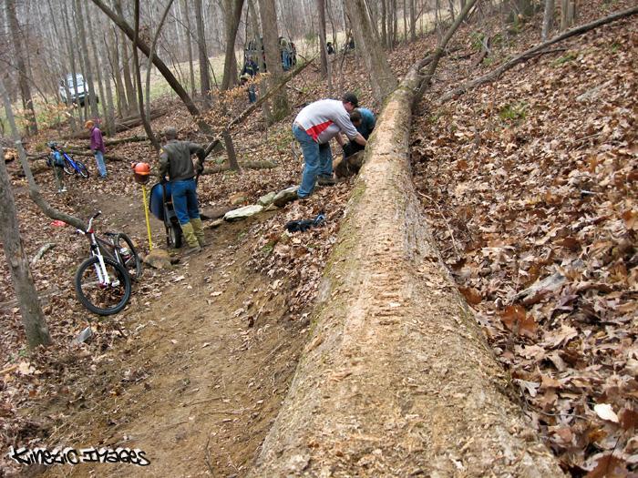 A group of individuals works on a mountain biking trail in a wooded area, with a large fallen tree parallel to the path. Some people are constructing features along the trail, while others are engaged in various activities in the background. Bikes are parked nearby, and the ground is covered with fallen leaves, indicating a natural setting. Wild Turkey mountain bike trail.