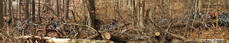 A panoramic view of a woodland area with several bicycles nestled among fallen branches and trees. The scene is autumnal, featuring a mix of bare trees and scattered leaves covering the forest floor. The bicycles are partially obscured by the natural debris, creating a sense of adventure and exploration. Wild Turkey mountain bike trail.