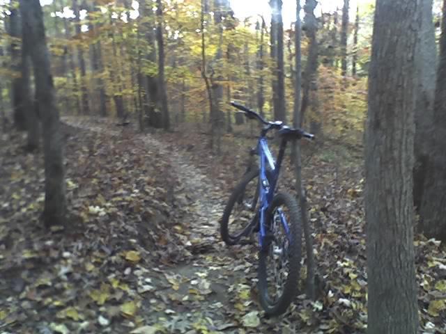 A blue mountain bike rests on a dirt path surrounded by trees with vibrant autumn foliage. The trail winds through the woods, covered with fallen leaves, creating a serene outdoor scene. Wild Turkey mountain bike trail.