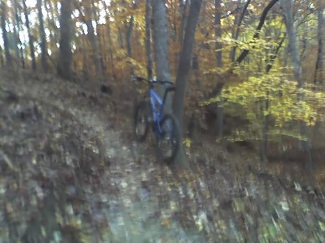 A blurred image of a blue mountain bike parked beside a dirt trail, surrounded by autumn foliage with yellow and orange leaves on the trees. The scene conveys a quiet moment in a wooded area. Wild Turkey mountain bike trail.