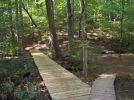 A wooden footbridge crossing a small area in a lush green forest, surrounded by trees and foliage. The path leads further into the woods. Wild Turkey mountain bike trail.