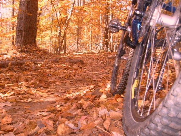 A mountain bike leaning against a tree on a path covered with colorful autumn leaves, surrounded by trees with vibrant orange foliage. Wild Turkey mountain bike trail.