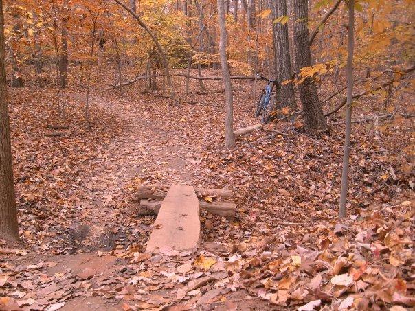 A serene forest path in autumn, featuring a wooden bridge over a small gap, surrounded by a carpet of fallen leaves in various shades of orange and brown. The trees are tall with a mixture of bare branches and colorful leaves, creating a picturesque natural scene, with a glimpse of a backpack hanging on a tree in the background. Wild Turkey mountain bike trail.
