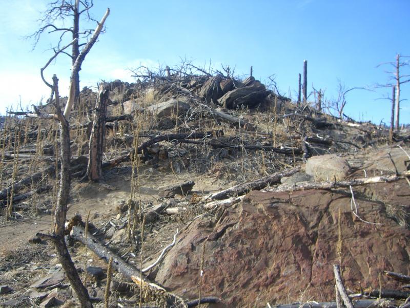 A barren landscape featuring a rocky hill, scorched earth, and remnants of burned trees, with dried vegetation and scattered logs under a clear blue sky. Ginny Trail mountain bike trail.