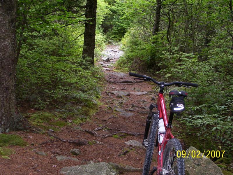 A red mountain bike rests on a rocky trail surrounded by lush green foliage and trees, indicating a peaceful outdoor setting for biking or hiking. The path is narrow and uneven, suggesting an adventurous route through nature. Spruce Knob Loop mountain bike trail.