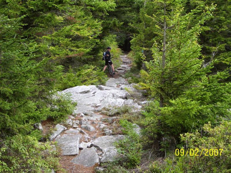 A rocky trail winding through a dense forest of evergreen trees, with a person standing beside a bicycle on the path. The scene is lush and green, showcasing the natural beauty of the outdoors. Spruce Knob Loop mountain bike trail.