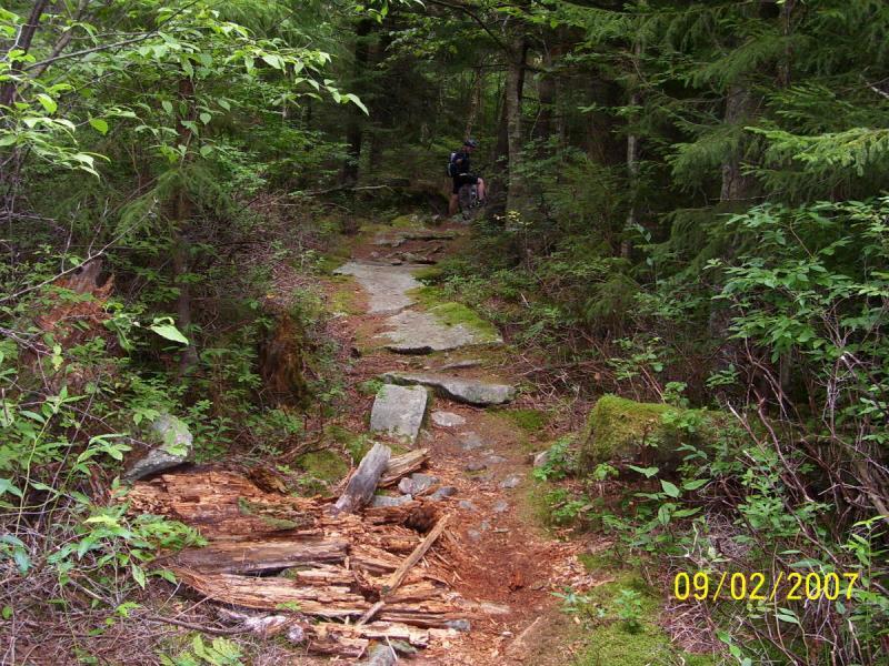 A narrow, rocky trail surrounded by lush green vegetation in a forest setting. In the distance, a cyclist is partially visible, navigating the uneven path. The ground features patches of moss and fallen logs, enhancing the natural scenery. Spruce Knob Loop mountain bike trail.