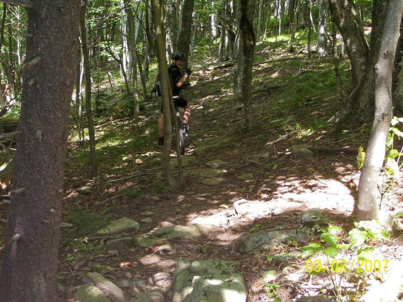 A mountain biker navigating a rocky trail in a forested area, surrounded by tall trees and lush greenery. The rider is wearing a helmet and biking gear, and appears to be in the midst of an uphill climb. Sunlight filters through the trees, creating patches of light on the ground. Spruce Knob Loop mountain bike trail.