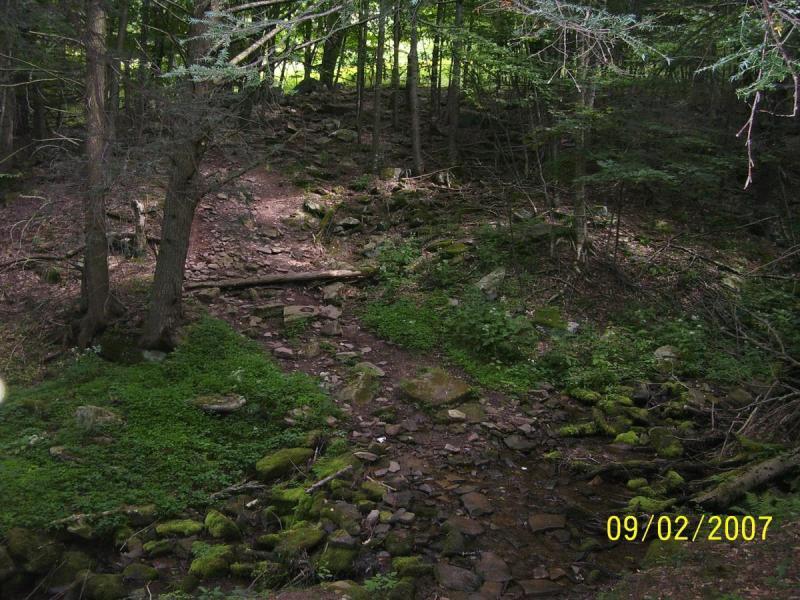 A tranquil forest scene featuring a rocky streambed surrounded by lush greenery and trees. A log bridge spans the stream, leading into a shaded area dotted with moss and stones. The scene is peaceful, suggesting a natural, untouched wilderness. Spruce Knob Loop mountain bike trail.