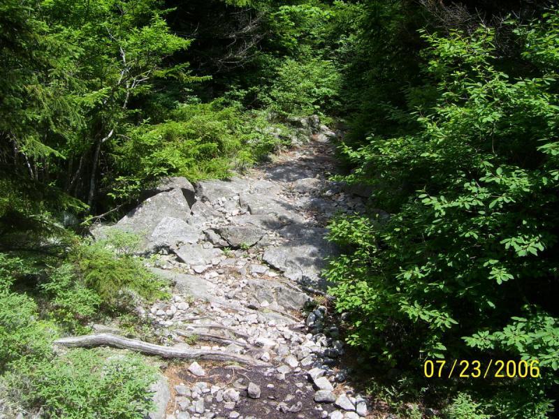 A rocky trail winding through lush green foliage in a forested area. Sunlight filters through the trees, illuminating the path made of stones and surrounded by dense vegetation. Spruce Knob Loop mountain bike trail.
