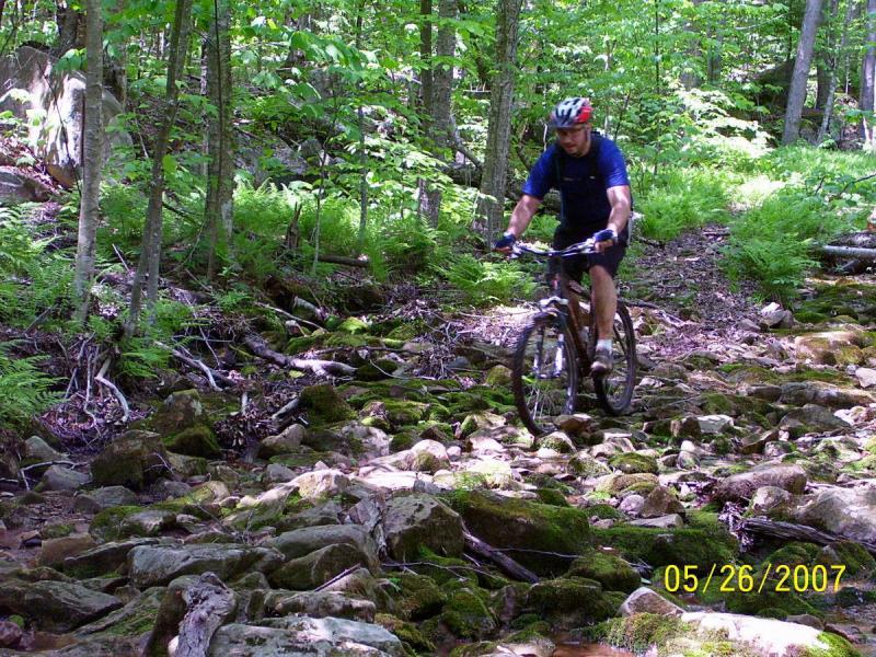A mountain biker navigating over a rocky path in a lush forest, surrounded by green foliage and trees. Sunlight filters through the leaves, highlighting the moss-covered rocks on the trail. Props Run Trail mountain bike trail.