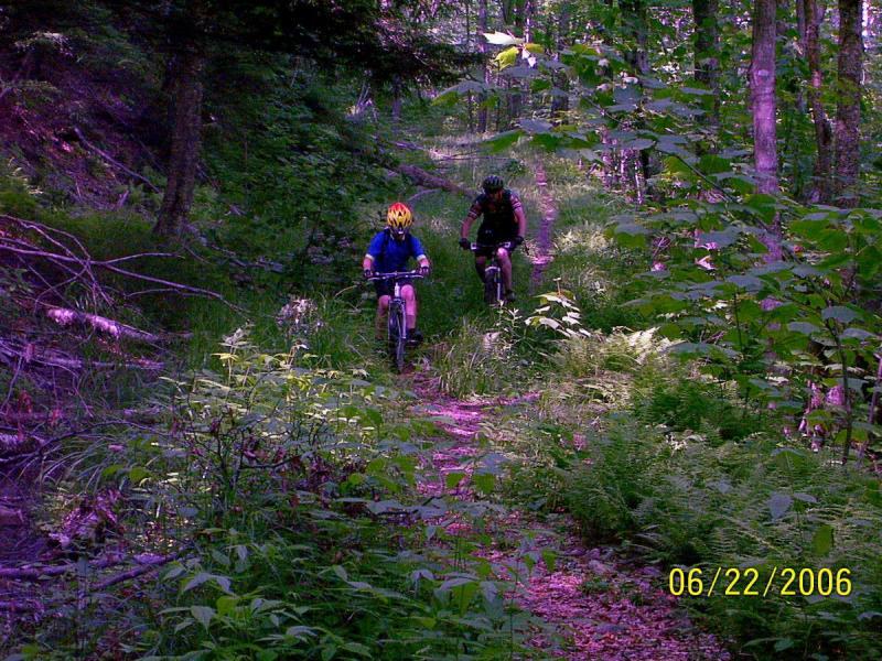 Two individuals riding mountain bikes on a wooded, grassy trail, surrounded by dense greenery. The scene captures a sunny day in nature, highlighting the joy of outdoor biking. Props Run Trail mountain bike trail.