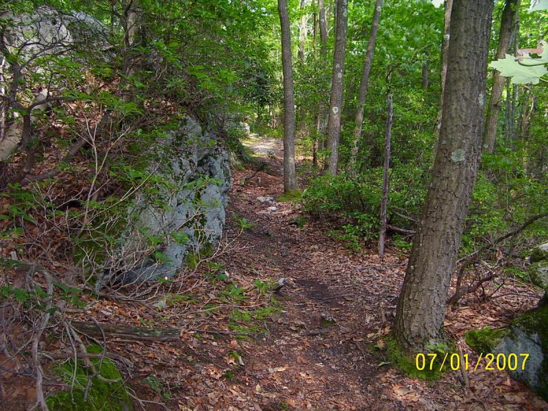 A narrow hiking trail winding through a lush green forest, with rocky outcrops and trees lining the path. The ground is covered in leaves and dirt, suggesting a peaceful natural setting. Big Bear Lake Trail Center mountain bike trail.
