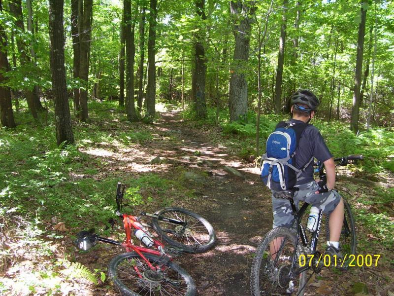 A person wearing a helmet and a backpack stands on a dirt path in a dense forest, looking ahead. Two mountain bikes are positioned on the ground nearby, one red and one black. The surroundings are lush with green foliage, and sunlight filters through the trees, creating a bright, natural atmosphere. Big Bear Lake Trail Center mountain bike trail.