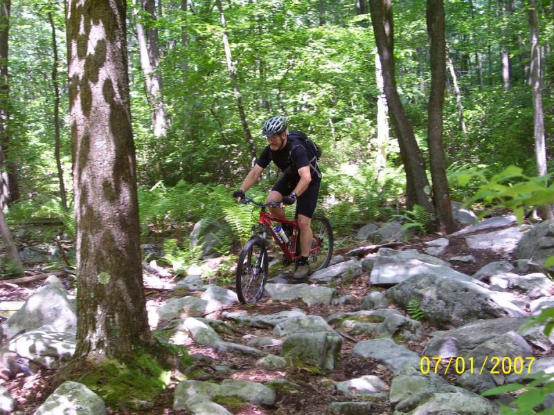 A person riding a mountain bike over rocky terrain in a lush green forest. The cyclist is wearing a helmet and athletic clothing, navigating through the trail surrounded by trees and ferns. Big Bear Lake Trail Center mountain bike trail.