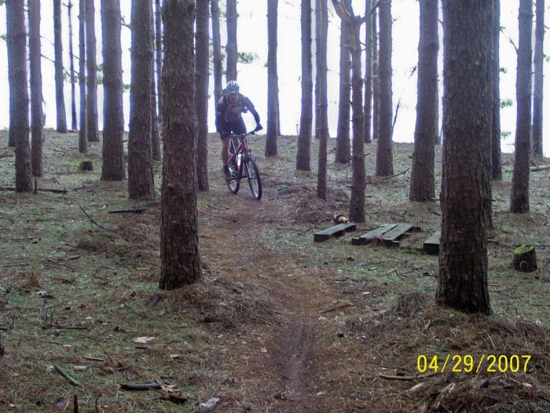 A mountain biker navigates a dirt trail through a pine forest, surrounded by tall trees and scattered pine needles on the ground. The rider is wearing a helmet and cycling gear, while a few wooden planks lie nearby on the ground. The atmosphere appears misty or overcast. Big Bear Lake Trail Center mountain bike trail.