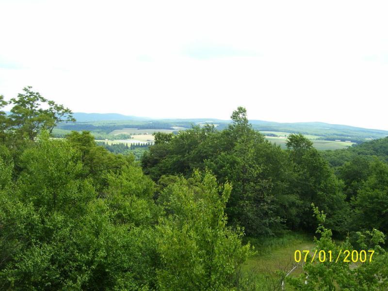 A panoramic view of a lush green landscape with rolling hills and fields under a cloudy sky. Dense trees occupy the foreground, leading to a vista of distant hills and farmland in the background. Big Bear Lake Trail Center mountain bike trail.