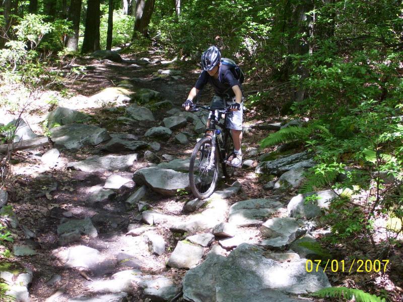 A person wearing a helmet and casual outdoor attire is maneuvering a mountain bike over a rocky trail in a forested area. Sunlight filters through the trees, highlighting the path covered in stones and surrounded by lush greenery. Big Bear Lake Trail Center mountain bike trail.