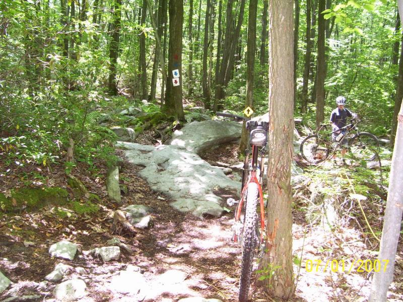 Two mountain bikers navigate a wooded trail marked with signage, featuring rocky terrain and dense green foliage. One bike is positioned prominently in the foreground, while the bikers are seen further along the path, surrounded by tall trees and sunlight filtering through the leaves. Big Bear Lake Trail Center mountain bike trail.