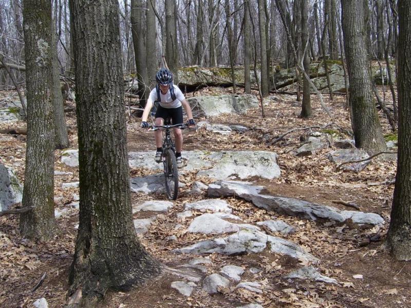A mountain biker navigating rocky terrain in a forested area with bare trees and fallen leaves. Big Bear Lake Trail Center mountain bike trail.
