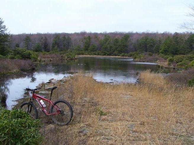 A red mountain bike rests on a rocky pathway beside a calm pond, surrounded by tall grasses and dense trees in the background. The sky is overcast, and the landscape reflects a serene, natural setting. Big Bear Lake Trail Center mountain bike trail.
