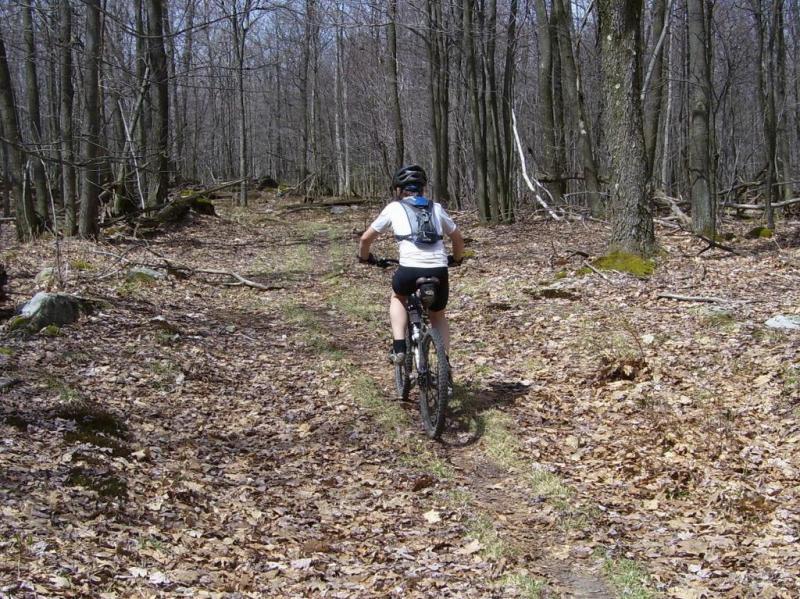 A person riding a mountain bike on a dirt trail through a wooded area, surrounded by bare trees and scattered leaves on the ground. The scene is set on a sunny day with clear blue skies. Big Bear Lake Trail Center mountain bike trail.