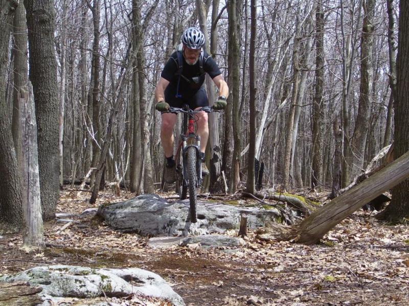 A mountain biker navigating over a large rock while riding through a forested trail with bare trees and fallen leaves on the ground. The cyclist is wearing a helmet, gloves, and cycling gear, showing an action pose as they leap off the rock. Big Bear Lake Trail Center mountain bike trail.
