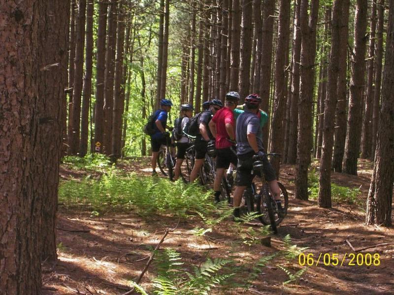 A group of six mountain bikers, wearing helmets and biking gear, pause along a dirt path in a dense forest of tall pine trees. They are positioned side by side, facing away from the camera, with some ferns visible on the forest floor. The image has a timestamp of June 5, 2008. Big Bear Lake Trail Center mountain bike trail.