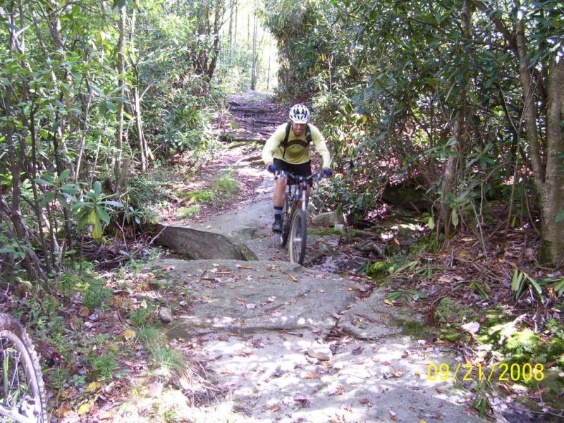A person riding a mountain bike along a rocky trail surrounded by greenery. The cyclist is navigating over rough stones and uneven terrain, wearing a helmet and a yellow shirt, with a backpack. Sunlight filters through the trees, illuminating the path ahead. Plantation Trail mountain bike trail.