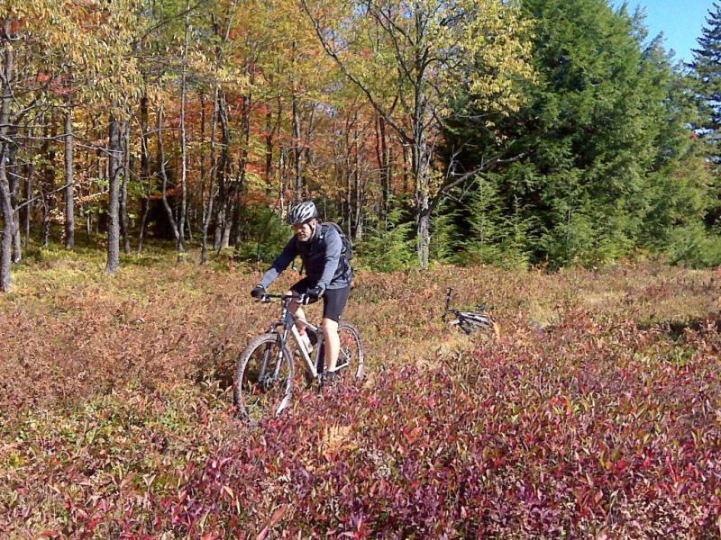 A mountain biker stands on a white bicycle amidst colorful autumn foliage in a forested area, surrounded by vibrant red and orange plants. The cyclist is wearing a helmet and athletic gear, with trees in the background displaying fall colors. A second bike is visible in the background, partially obscured by the vegetation. Plantation Trail mountain bike trail.