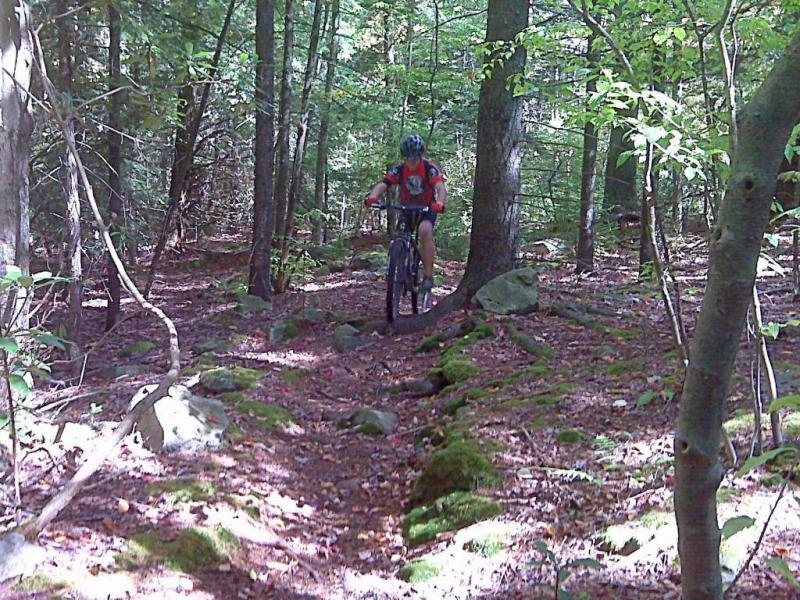 A person riding a mountain bike on a narrow, rocky trail surrounded by trees in a forest. Sunlight filters through the leaves, illuminating the path covered in fallen leaves and moss. Plantation Trail mountain bike trail.
