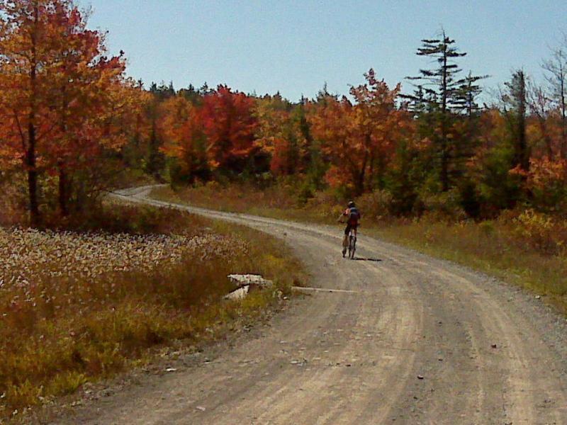 A cyclist riding along a winding gravel path surrounded by vibrant autumn foliage, featuring trees with orange, red, and green leaves under a clear blue sky. Plantation Trail mountain bike trail.