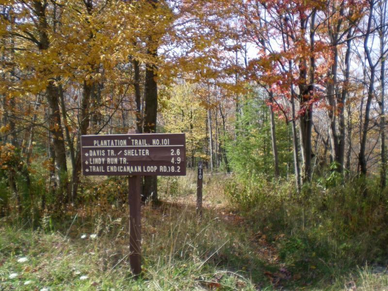 A wooden trail sign indicating "Plantation Trail No. 101" with directional distances to "Davis Tr. / Shelter" (2.6 miles), "Lindy Run Tr." (4.9 miles), and "Trail End / Canaan Loop Rd." (18.2 miles), set in a vibrant autumn forest with colorful foliage. Plantation Trail mountain bike trail.