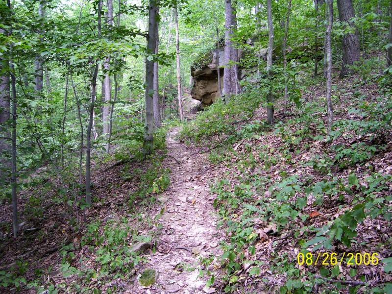 A narrow dirt path winding through a lush green forest, flanked by trees and underbrush. A rocky outcrop is visible on the right side of the trail, and the scene is filled with vibrant foliage typical of a woodland area. Archers Fork Loop Trail mountain bike trail.