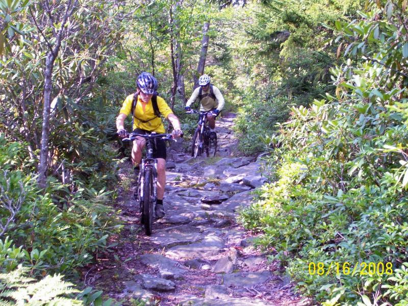 Two mountain bikers navigating a rocky trail surrounded by greenery. One biker, wearing a yellow shirt and a helmet, is in the foreground, while the other, dressed in a light-colored jacket and helmet, follows behind. The path is lined with dense foliage and rocky terrain. Allegheny (park To Park) mountain bike trail.