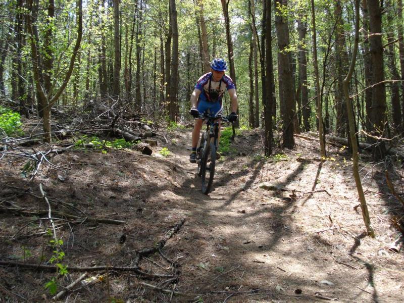 A mountain biker riding along a dirt trail in a forest, surrounded by tall trees and greenery. The cyclist is wearing a helmet and colorful biking attire, navigating a path through sunlight and shadows among the underbrush. Fanshawe Lake mountain bike trail.