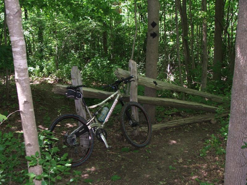 Mountain bike leaning against a wooden fence at the entrance of a wooded trail, surrounded by lush green foliage and trees. Arrow markings on a nearby tree indicate the direction of the trail. Fanshawe Lake mountain bike trail.