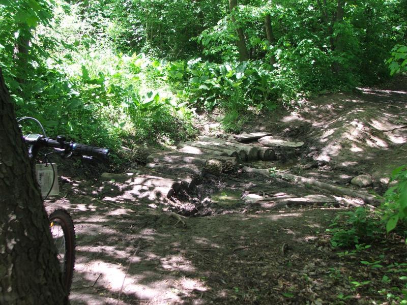 A narrow dirt path through a lush, green forest, featuring a makeshift wooden bridge over a muddy area. The image includes a partial view of a mountain bike on the left. Sunlight filters through the trees, highlighting the dense foliage and creating a natural, outdoor scene. Fanshawe Lake mountain bike trail.
