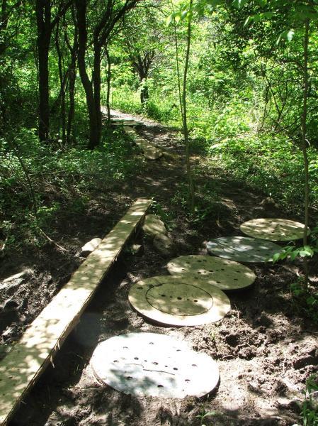 A narrow dirt path winding through a lush green forest, featuring wooden plank walkways and circular stone stepping stones partially embedded in the mud. Sunlight filters through the trees, casting dappled shadows on the ground. Fanshawe Lake mountain bike trail.